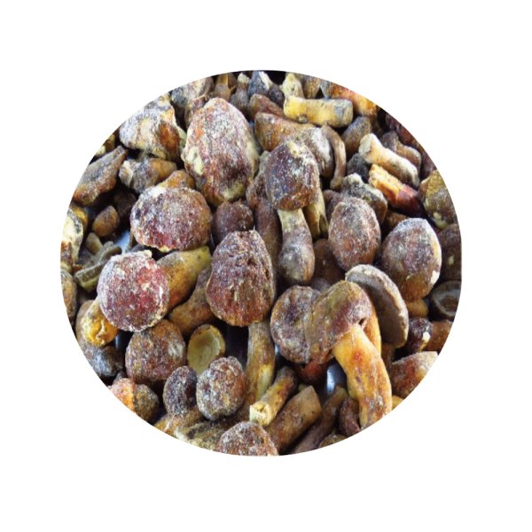 冷凍エデュリス肝菌